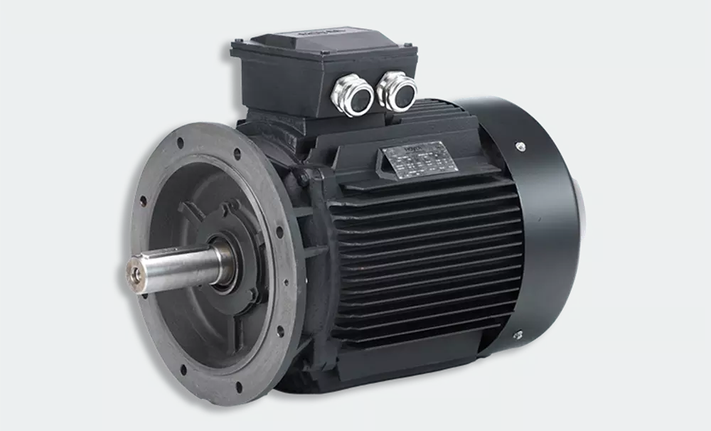 HMA2 100L 2p B5 IE2 - silnik trójfazowy 3,5 kW, 3000 obr/min