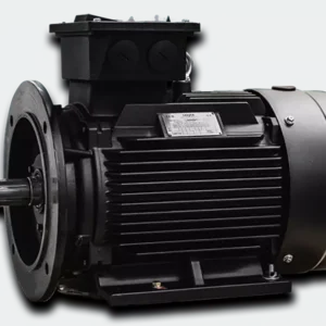 HMC4 355L-6 - silnik trójfazowy 250 kW, 1000 obr/min